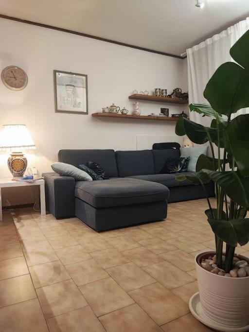 Appartamento Mare E Monti A Marina Di Massa Εξωτερικό φωτογραφία